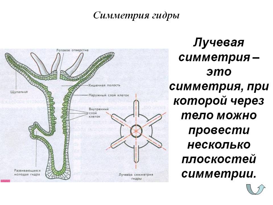 Даркнет форумы 2023