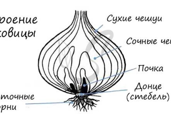 Кто создатель блэкспрут