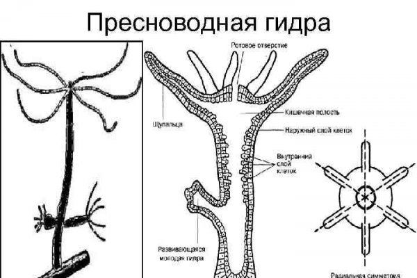 Даркнет площадка мега megadarknetonion com