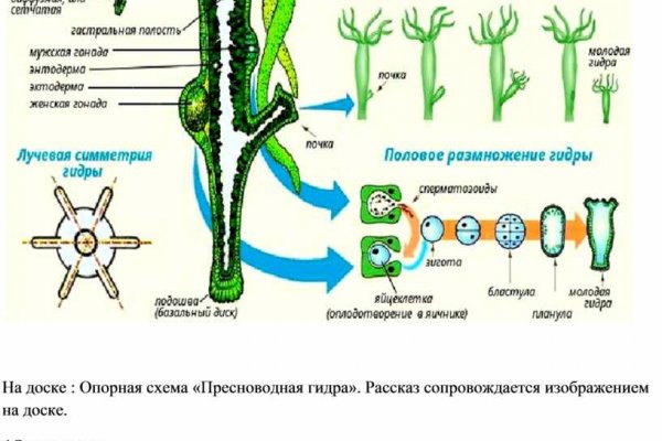 Долгое ожидание перевода от обменника на блэкспрут