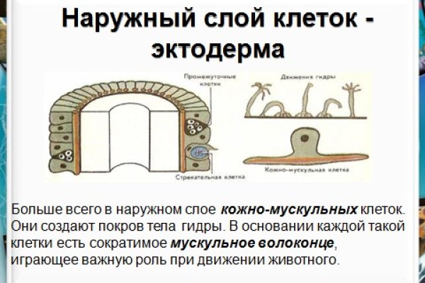 Как купить битки на блэкспрут